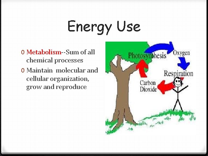 Energy Use 0 Metabolism--Sum of all chemical processes 0 Maintain molecular and cellular organization, Energy Use 0 Metabolism--Sum of all chemical processes 0 Maintain molecular and cellular organization,