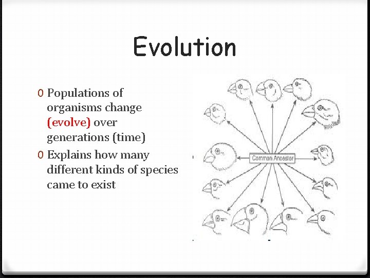 Evolution 0 Populations of organisms change (evolve) over generations (time) 0 Explains how many Evolution 0 Populations of organisms change (evolve) over generations (time) 0 Explains how many