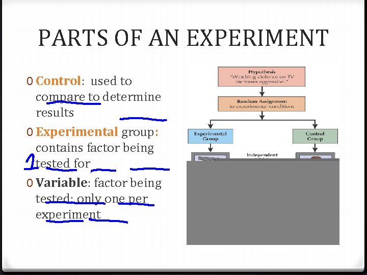 PARTS OF AN EXPERIMENT 0 Control: used to compare to determine results 0 Experimental PARTS OF AN EXPERIMENT 0 Control: used to compare to determine results 0 Experimental