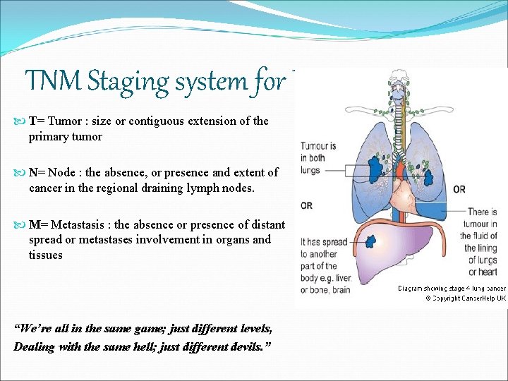 TNM Staging system for Lung Cancer T= Tumor : size or contiguous extension of