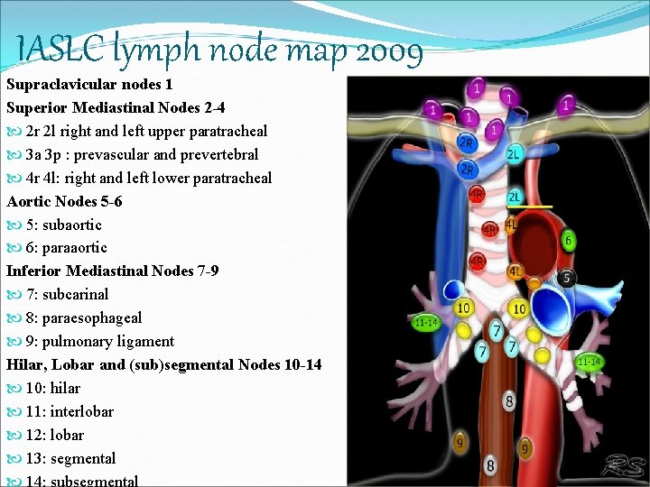 IASLC lymph node map 2009 Supraclavicular nodes 1 Superior Mediastinal Nodes 2 -4 2