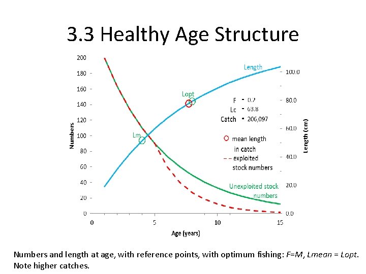 3. 3 Healthy Age Structure Numbers and length at age, with reference points, with