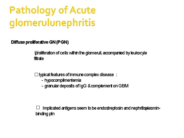 Diffuse proliferative GN (PGN) � proliferation of cells within the glomeruli, accompanied by leukocyte