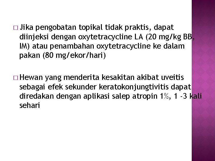 � Jika pengobatan topikal tidak praktis, dapat diinjeksi dengan oxytetracycline LA (20 mg/kg BB,