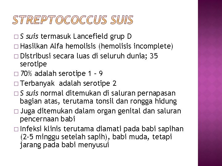 �S suis termasuk Lancefield grup D � Hasilkan Alfa hemolisis (hemolisis incomplete) � Distribusi