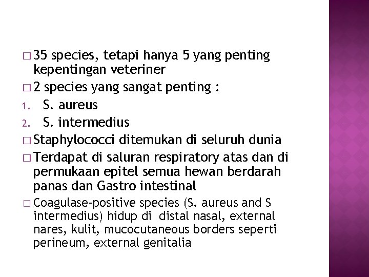 � 35 species, tetapi hanya 5 yang penting kepentingan veteriner � 2 species yang