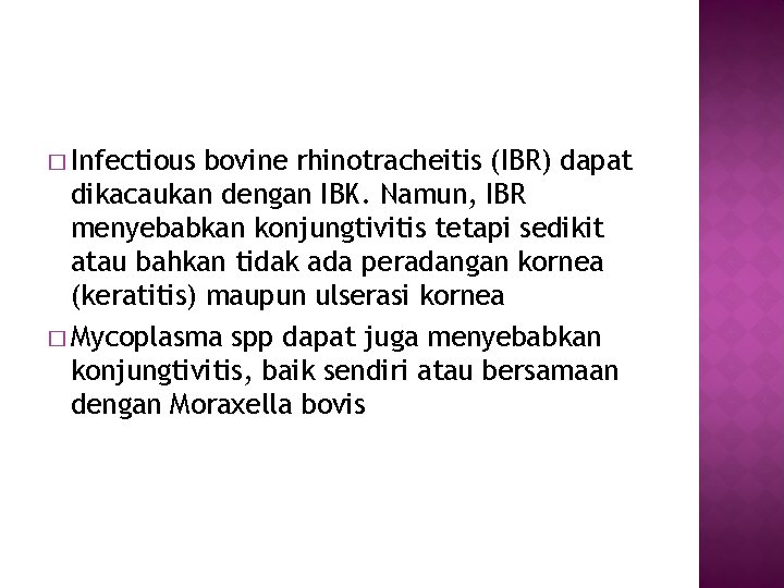 � Infectious bovine rhinotracheitis (IBR) dapat dikacaukan dengan IBK. Namun, IBR menyebabkan konjungtivitis tetapi