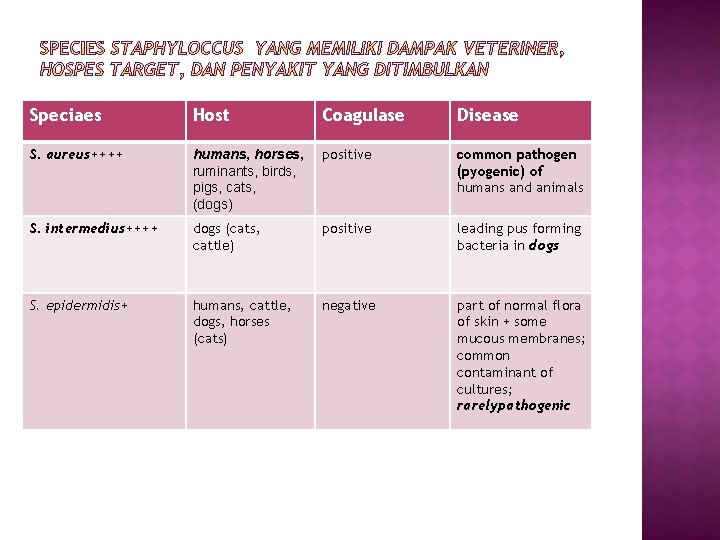 Speciaes Host Coagulase Disease S. aureus++++ humans, horses, ruminants, birds, pigs, cats, (dogs) positive