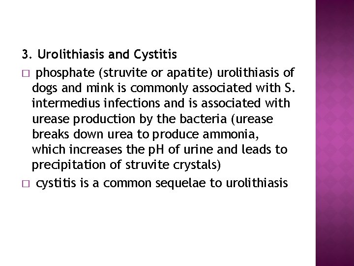 3. Urolithiasis and Cystitis � phosphate (struvite or apatite) urolithiasis of dogs and mink