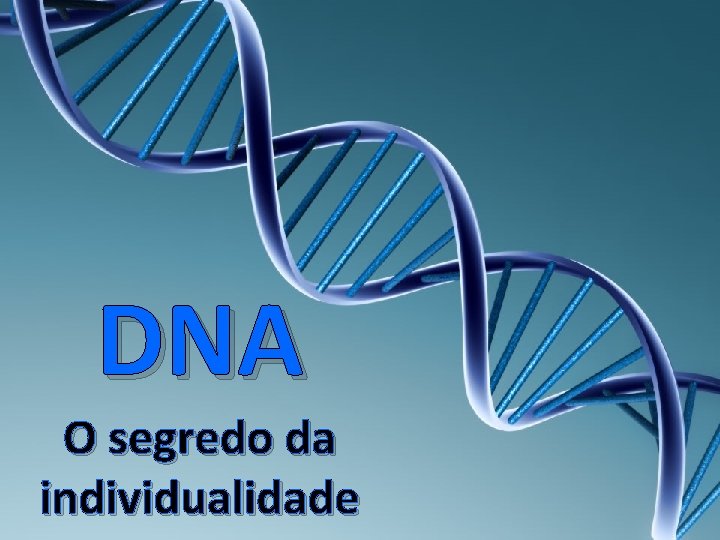 DNA O segredo da individualidade Do que que