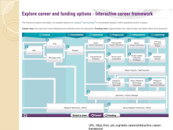 URL: https: //mrc. ukri. org/skills-careers/interactive-careerframework/ 