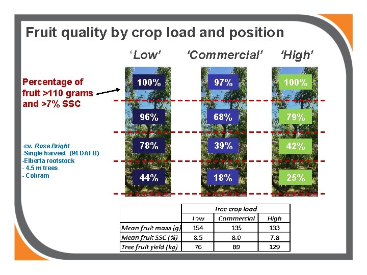 Fruit quality by crop load and position ‘Low’ Percentage of fruit >110 grams and