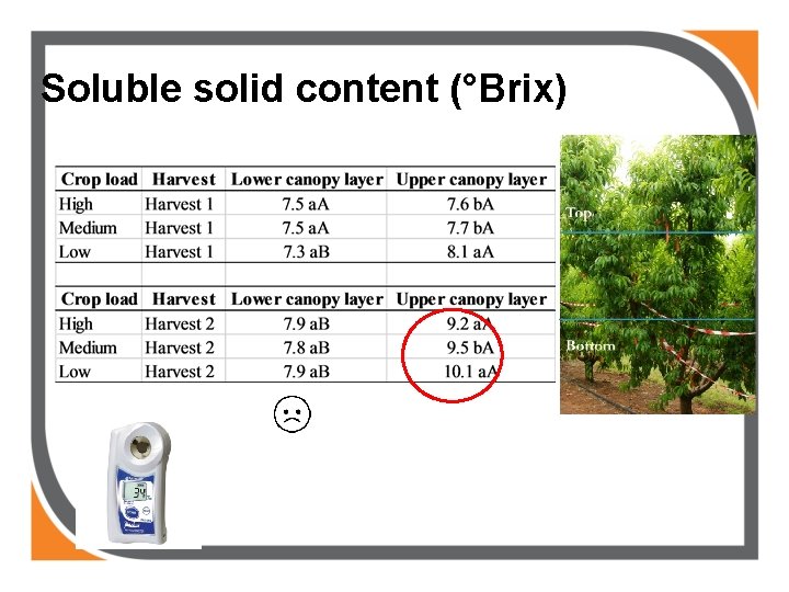 Soluble solid content (°Brix) 