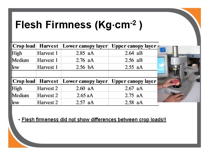 Flesh Firmness (Kg∙cm-2 ) • Flesh firmeness did not show differences between crop loads!!