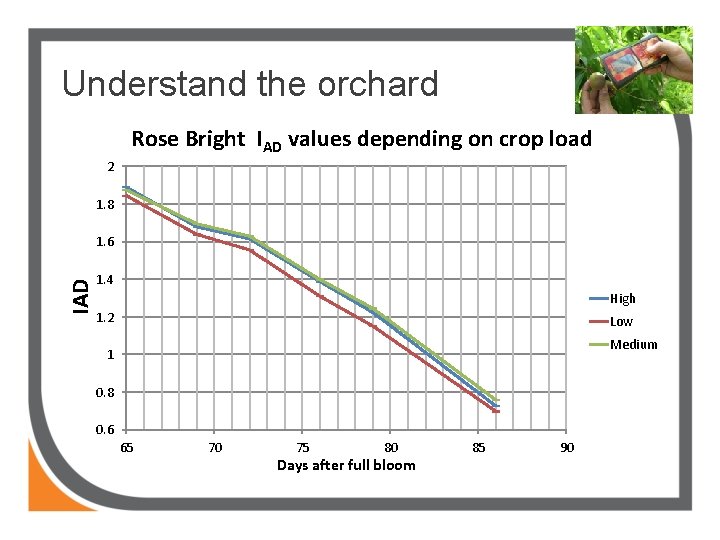 Understand the orchard Rose Bright IAD values depending on crop load 2 1. 8