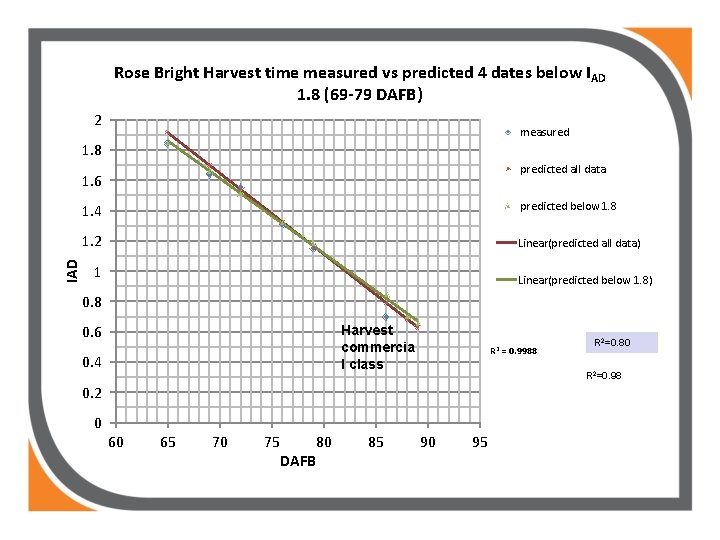 Rose Bright Harvest time measured vs predicted 4 dates below IAD 1. 8 (69