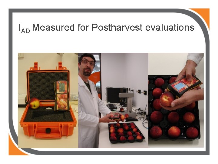 IAD Measured for Postharvest evaluations 