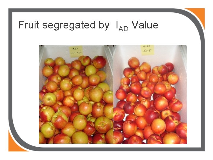 Fruit segregated by IAD Value 