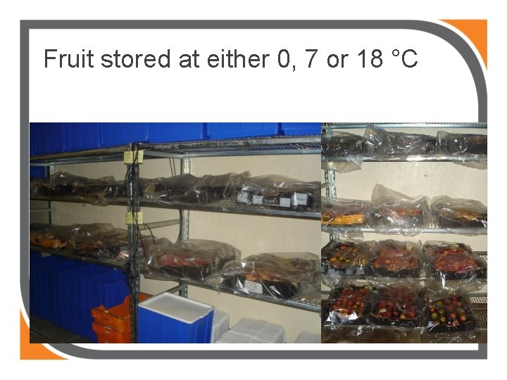 Fruit stored at either 0, 7 or 18 °C 