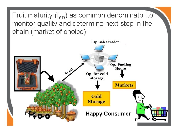 Fruit maturity (IAD) as common denominator to monitor quality and determine next step in