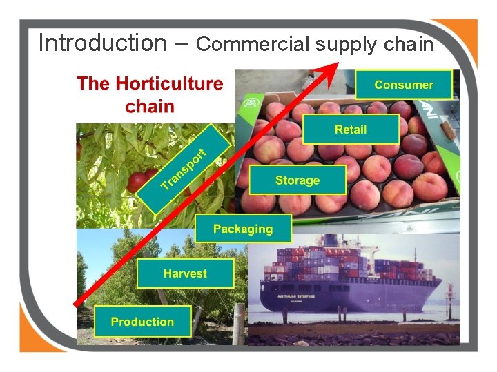 Introduction – Commercial supply chain 