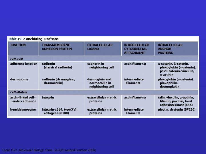Table 19 -2 Molecular Biology of the Cell (© Garland Science 2008) 