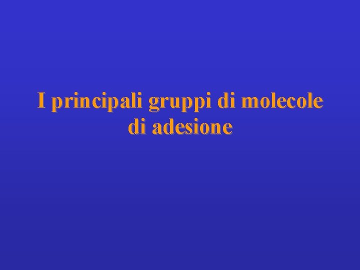 I principali gruppi di molecole di adesione 