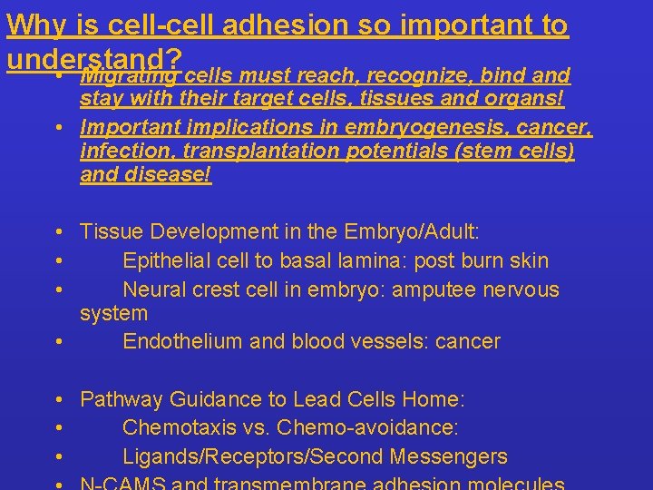 Why is cell-cell adhesion so important to understand? • Migrating cells must reach, recognize,