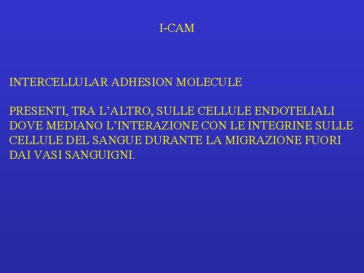 I-CAM INTERCELLULAR ADHESION MOLECULE PRESENTI, TRA L’ALTRO, SULLE CELLULE ENDOTELIALI DOVE MEDIANO L’INTERAZIONE CON