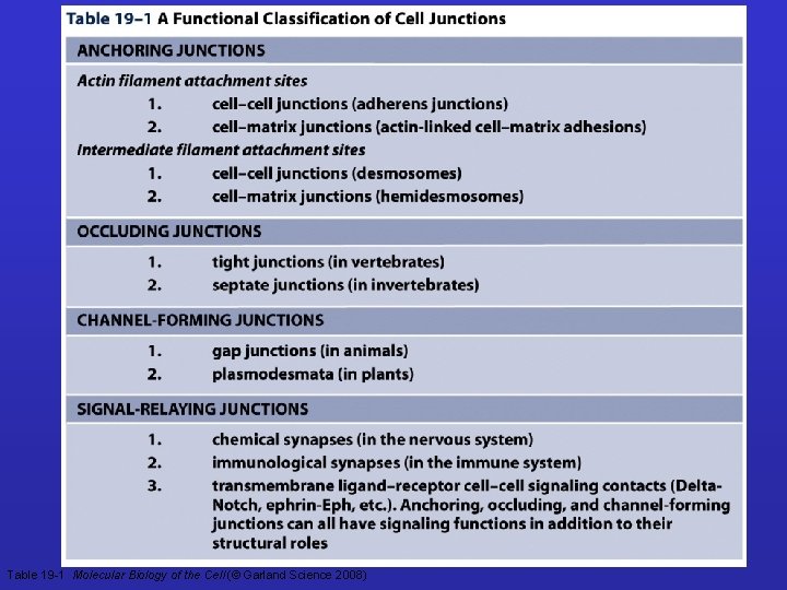 Table 19 -1 Molecular Biology of the Cell (© Garland Science 2008) 