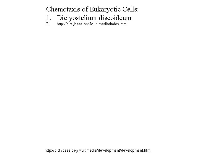 Chemotaxis of Eukaryotic Cells: 1. Dictyostelium discoideum 2. http: //dictybase. org/Multimedia/index. html http: //dictybase.