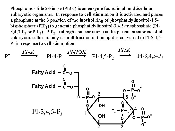 Phosphoinositide 3 -kinase (PI 3 K) is an enzyme found in all multicellular eukaryotic