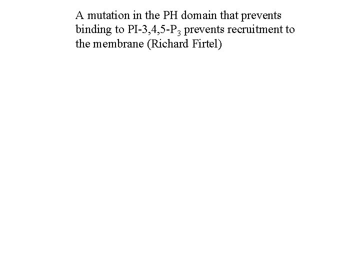 A mutation in the PH domain that prevents binding to PI-3, 4, 5 -P