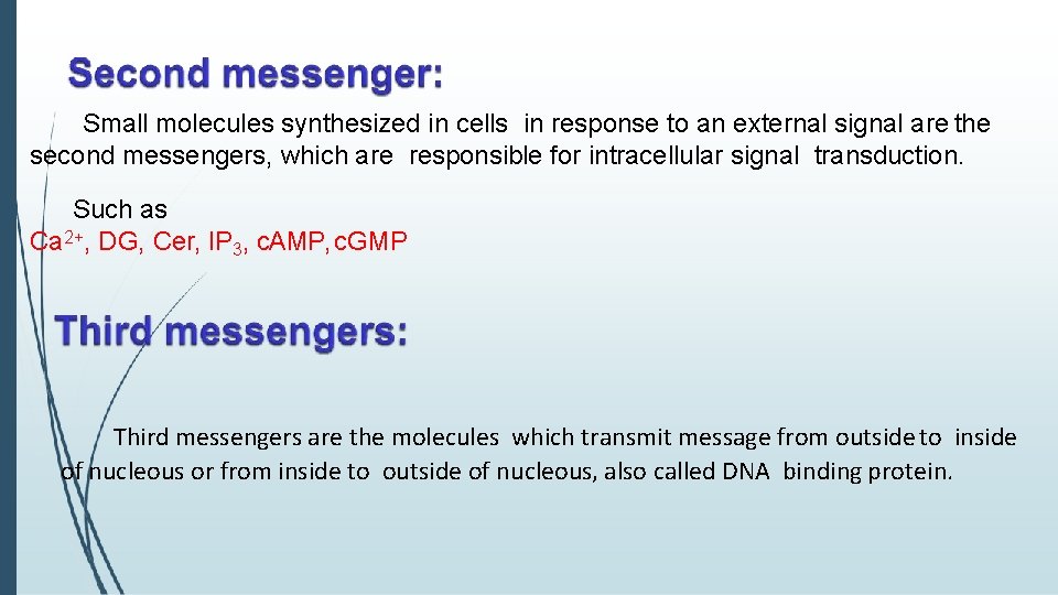 Small molecules synthesized in cells in response to an external signal are the second