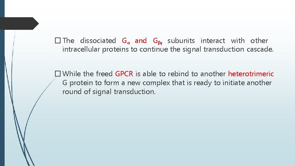 � The dissociated Gα and Gβγ subunits interact with other intracellular proteins to continue