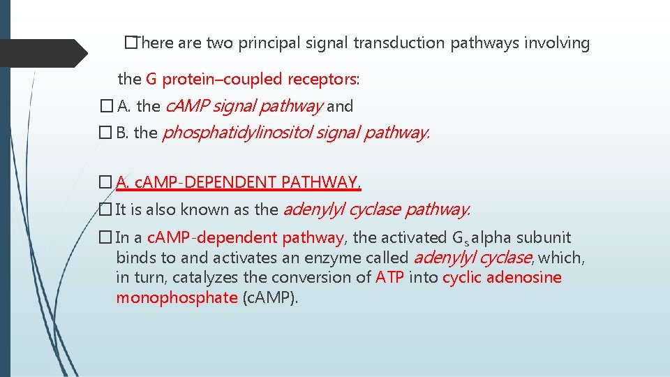 �There are two principal signal transduction pathways involving the G protein–coupled receptors: � A.