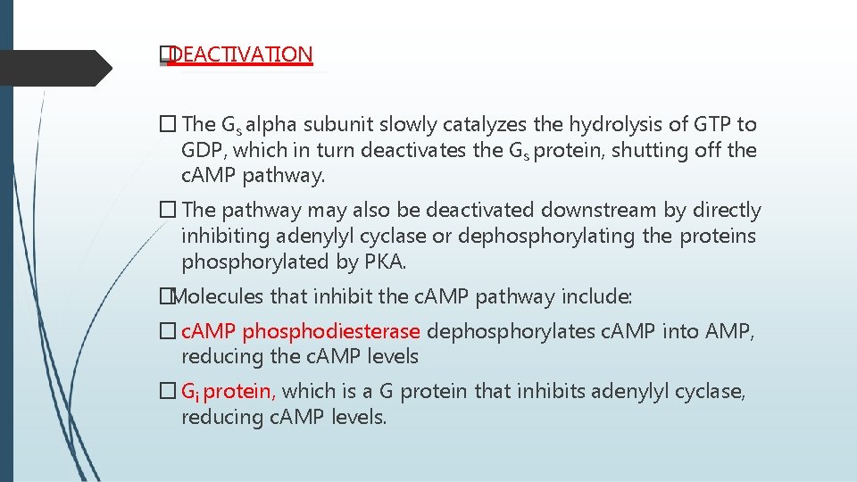 � DEACTIVATION � The Gs alpha subunit slowly catalyzes the hydrolysis of GTP to