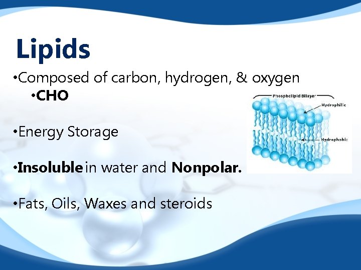 Lipids • Composed of carbon, hydrogen, & oxygen • CHO • Energy Storage •