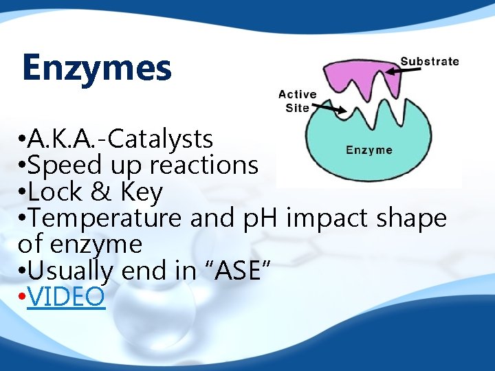 Enzymes • A. K. A. -Catalysts • Speed up reactions • Lock & Key