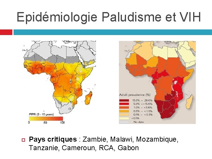 Epidémiologie Paludisme et VIH Pays critiques : Zambie, Malawi, Mozambique, Tanzanie, Cameroun, RCA, Gabon