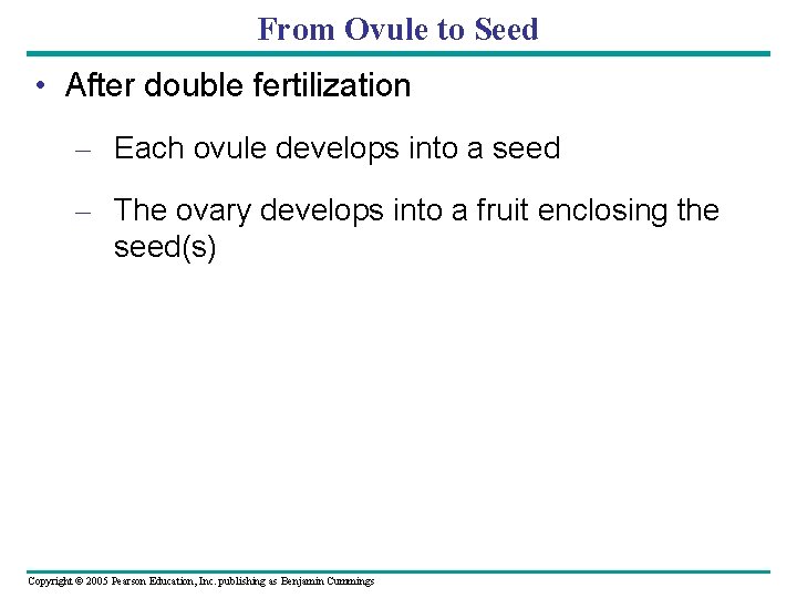 From Ovule to Seed • After double fertilization – Each ovule develops into a From Ovule to Seed • After double fertilization – Each ovule develops into a
