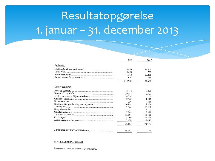 Resultatopgørelse 1. januar – 31. december 2013 