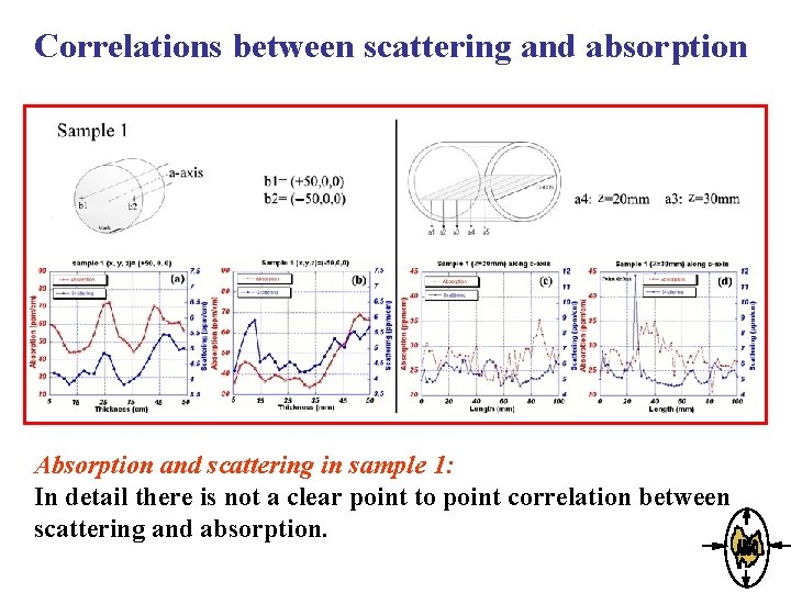 Correlations between scattering and absorption Absorption and scattering in sample 1: In detail there