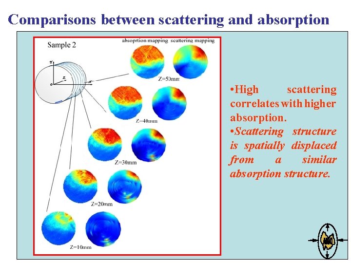 Comparisons between scattering and absorption • High scattering correlates with higher absorption. • Scattering