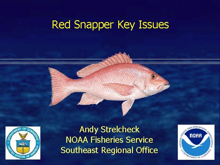 Red Snapper Key Issues Andy Strelcheck NOAA Fisheries Service Southeast Regional Office 