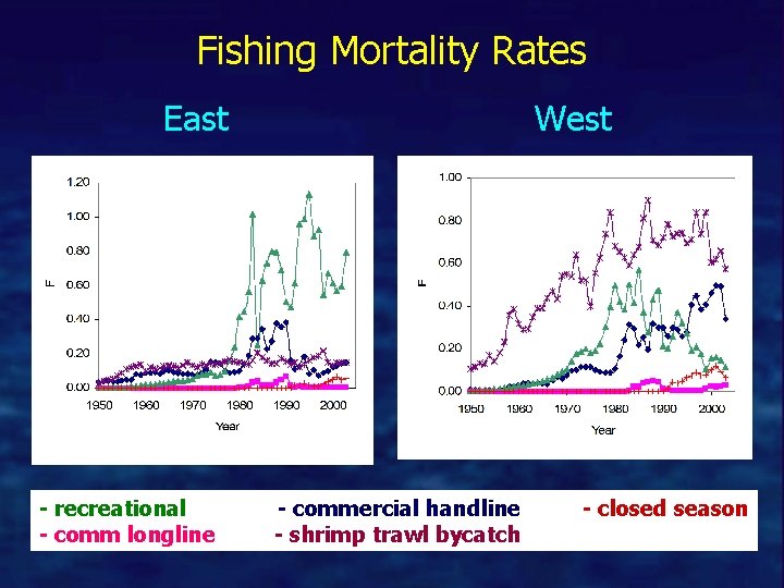 Fishing Mortality Rates East - recreational - comm longline West - commercial handline -