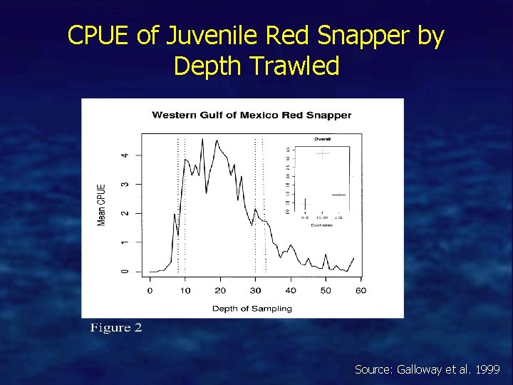 CPUE of Juvenile Red Snapper by Depth Trawled Source: Galloway et al. 1999 