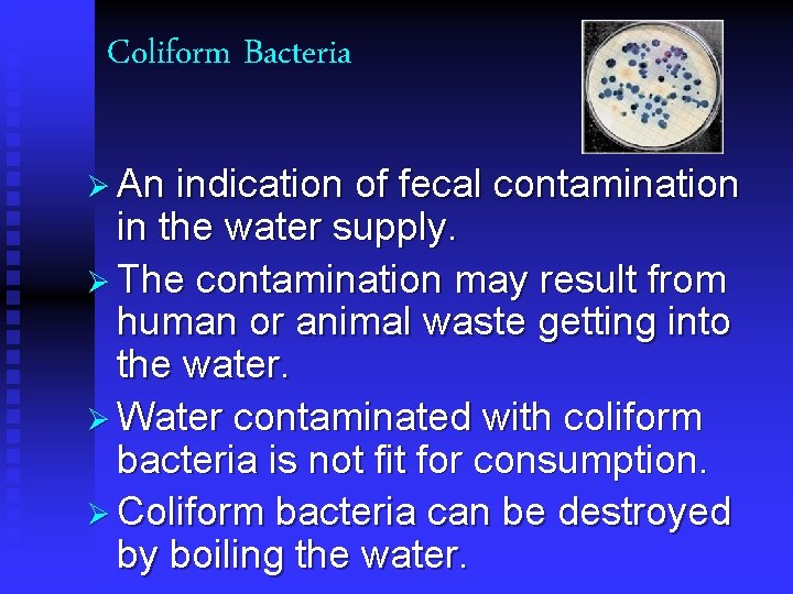 Coliform Bacteria Ø An indication of fecal contamination in the water supply. Ø The