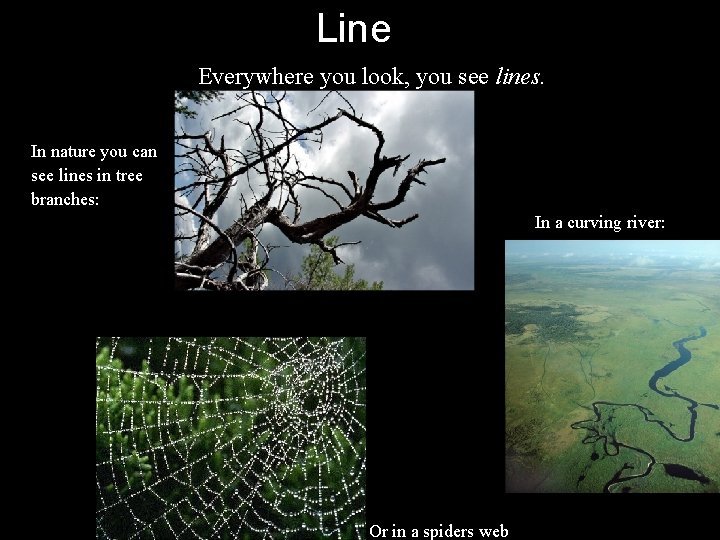 Line Everywhere you look, you see lines. In nature you can see lines in