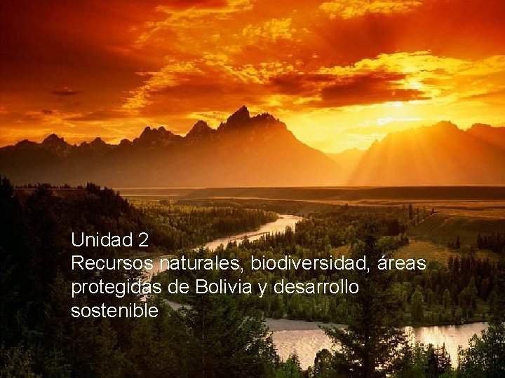 Unidad 2 Recursos naturales, biodiversidad, áreas protegidas de Bolivia y desarrollo sostenible 